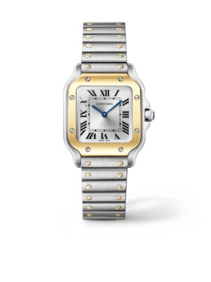 CARTIER Santos 31mm Silver Gold